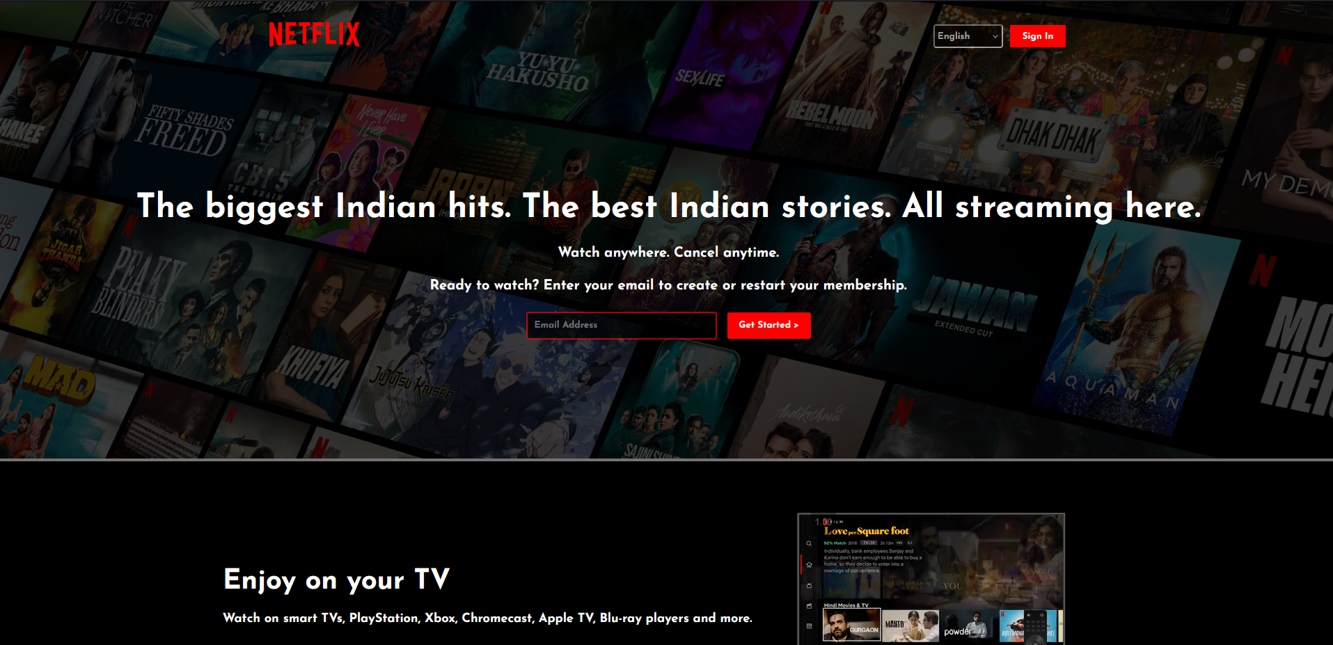 netflix website